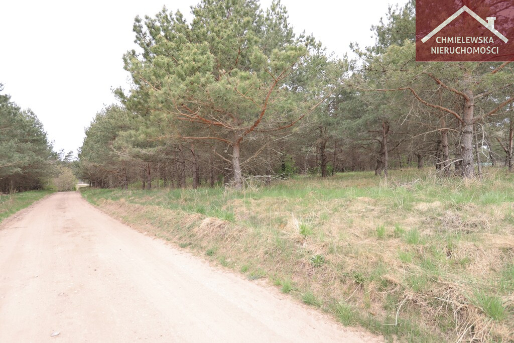 Działka Sprzedaż Długie